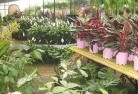 Canbelegoplant-nursery-7.jpg; ?>